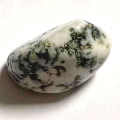 AGATE ARBRE PIERRE 6