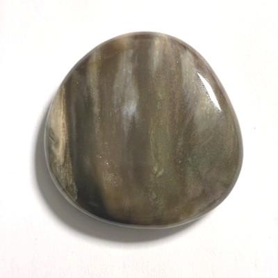 BOIS FOSSILE PETRIFIE PIERRE PLATE 2