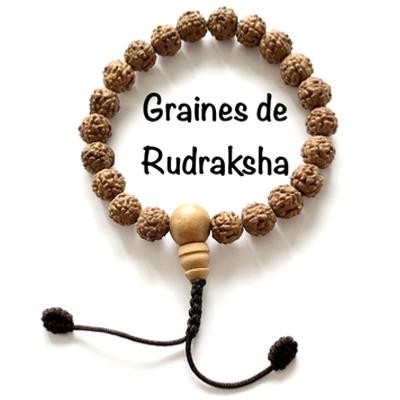 BRACELET GRAINES DE RUDRAKSHA