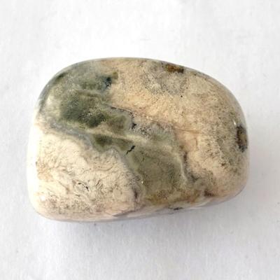 JASPE OCEAN PIERRE 1