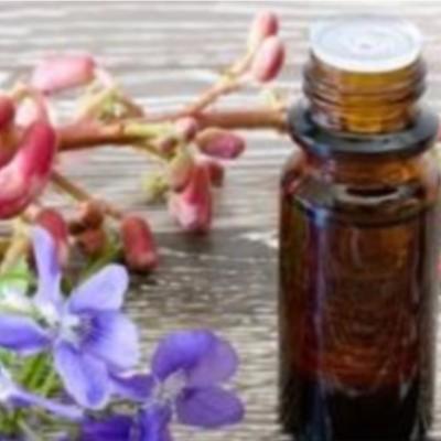 Huiles Essentielles et Vgtales