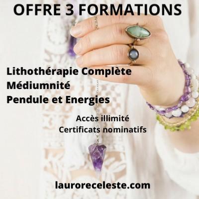 OFFRE 3 FORMATIONS EN LIGNES