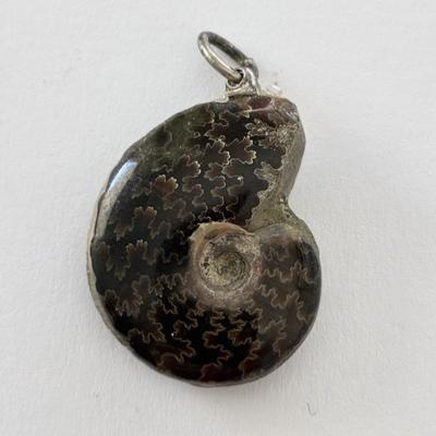 AMMONITE FOSSILE PENDENTIF 4