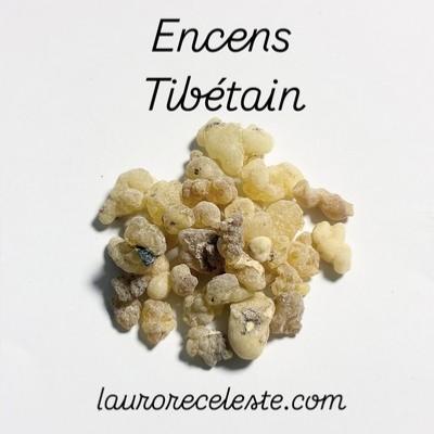ENCENS RESINE TIBETAIN