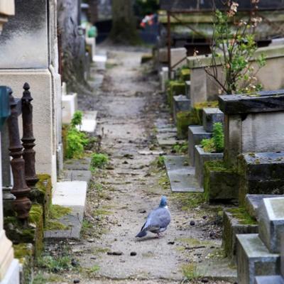 Un contact dfunt reu au Cimetire du Pre Lachaise - Aurore Mdium L Aurore Cleste