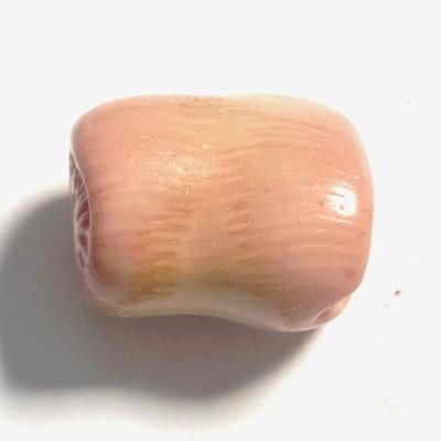 CORAIL ROSE PIERRE 1