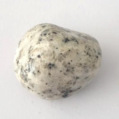 JASPE DALMATIEN PIERRE 6