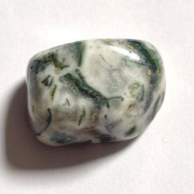 AGATE ARBRE PIERRE 7