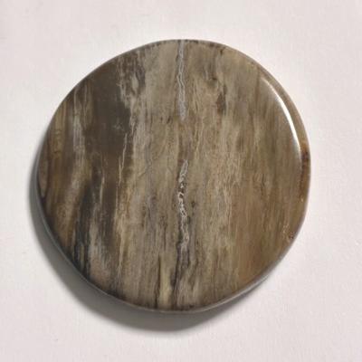 BOIS FOSSILE PETRIFIE PIERRE PLATE 1