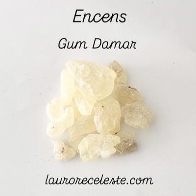 GUM DAMAR ENCENS RESINE