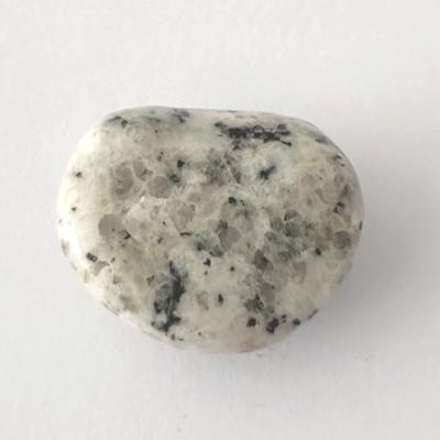 JASPE DALMATIEN PIERRE 7