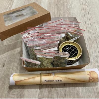 KIT 20 HERBES SORCIERE