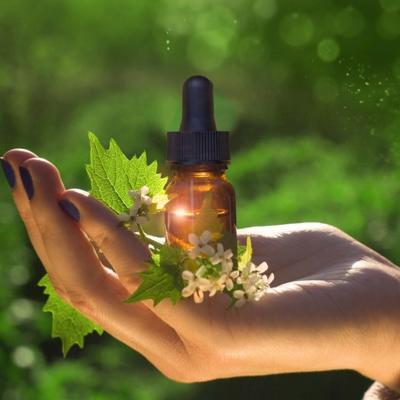 FLEUR DE BACH BIO UNITAIRE