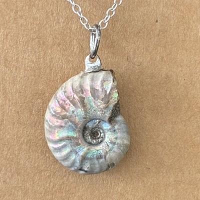 AMMONITE FOSSILE PENDENTIF 1
