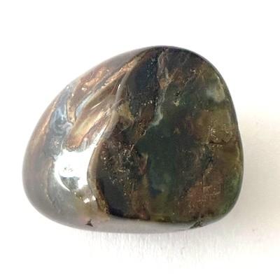 BOIS FOSSILE PETRIFIE PIERRE 8