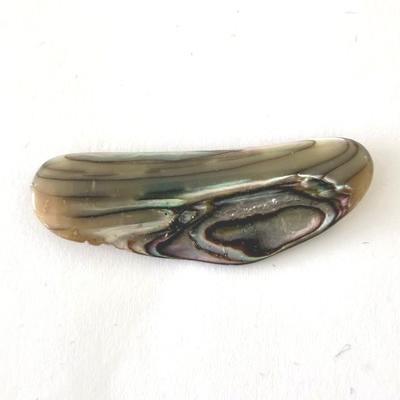 NACRE COQUILLAGE PIERRE 14