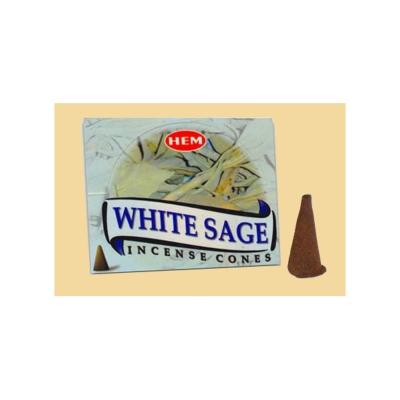 SAUGE BLANCHE CONES