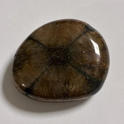 CHIASTOLITE PIERRE PLATE 2