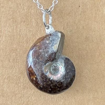 AMMONITE FOSSILE PENDENTIF 2