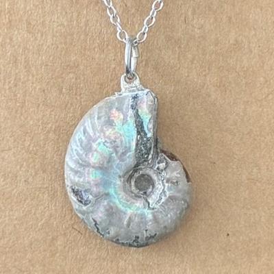 AMMONITE FOSSILE PENDENTIF 5