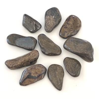 LOT DE 10 PIERRES BRONZITE