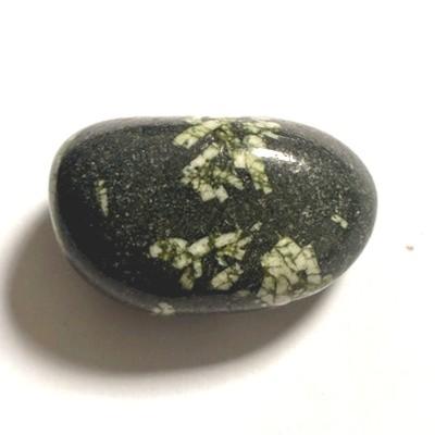 CHRYSANTHEME PIERRE 1