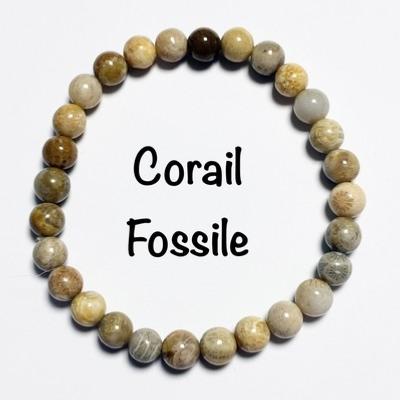 CORAIL FOSSILE BRACELET