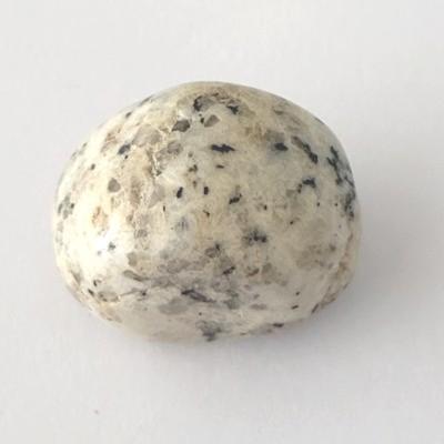 JASPE DALMATIEN PIERRE 5