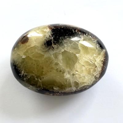 SEPTARIA GALET 4