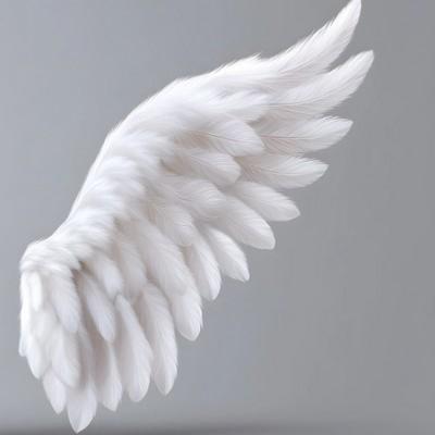 Anges et Guides