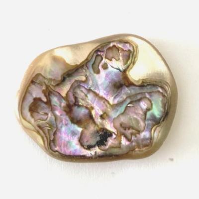 NACRE COQUILLAGE PIERRE 10