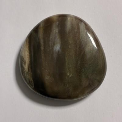 BOIS FOSSILE PETRIFIE PIERRE PLATE 4