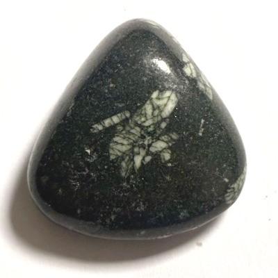 CHRYSANTHEME PIERRE 5