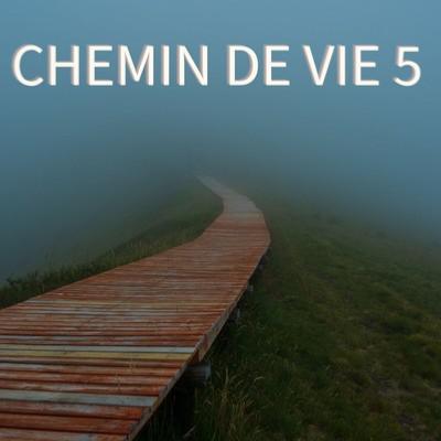 Le Bracelet Chemin de vie : description du chemin n 5 - L' Aurore Cleste