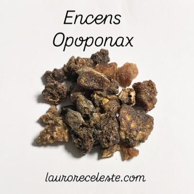 ENCENS RESINE OPOPONAX 