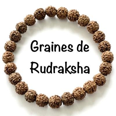 BRACELET GRAINES DE RUDRAKSHA