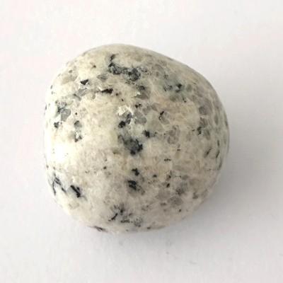 JASPE DALMATIEN PIERRE 1