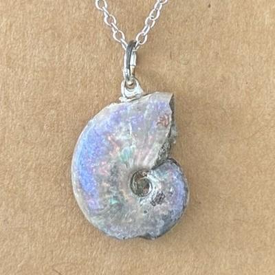 AMMONITE FOSSILE PENDENTIF 8