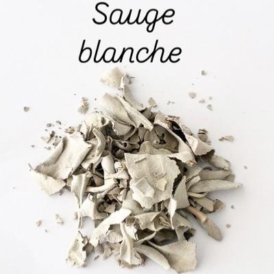 SAUGE BLANCHE SACHET
