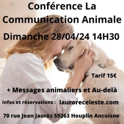 Conference Communication Animale + Expérience 28/04/24 à 14h30
