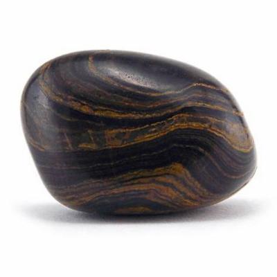 STROMATOLITE PIERRE