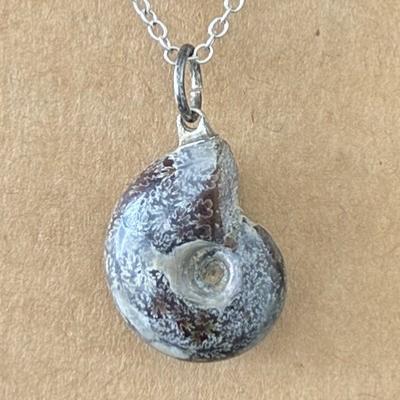 AMMONITE FOSSILE PENDENTIF 3