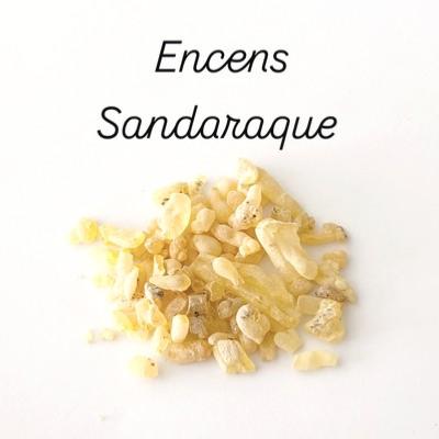 ENCENS RESINE SANDARAQUE