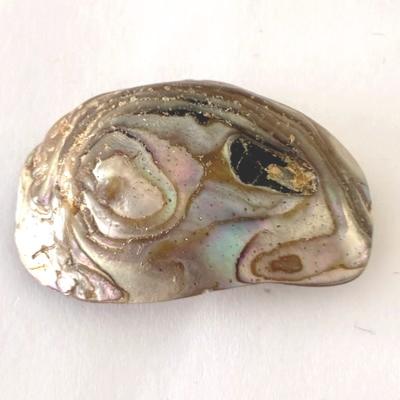 NACRE COQUILLAGE PIERRE 1