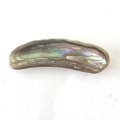 NACRE COQUILLAGE PIERRE 17