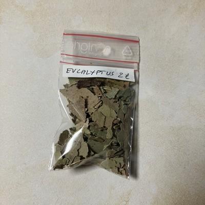 EUCALYPTUS ENCENS