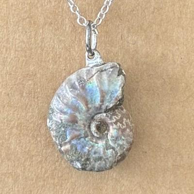 AMMONITE FOSSILE PENDENTIF 4