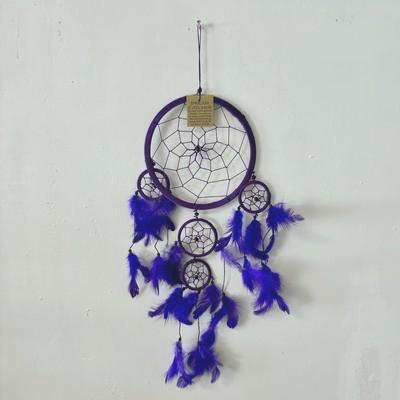 ATTRAPE REVE MOYEN VIOLET