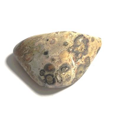 JASPE LEOPARD PIERRE 8