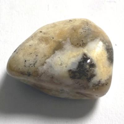MERLINITE AGATE DENDRITE PIERRE 8